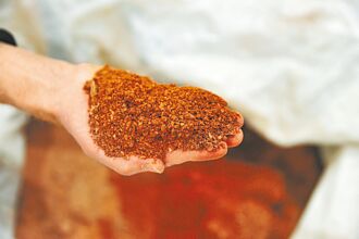 另闢稀徑 美擬與緬叛軍合作