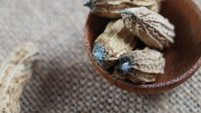 黄麴毒素主要存在于保存不当的谷类、花生、坚果、豆类等乾货食物中。（示意图，Shutterstock／达志）