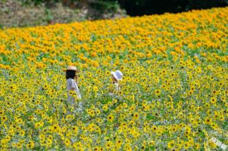 日本廣島玩樂一「夏」 六大避暑玩法提案