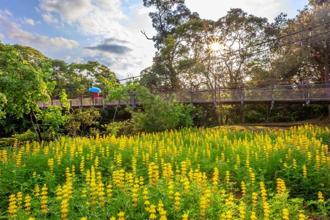 新北市農會楊棟樑翻轉文山農場 品茗賞螢擁抱生態