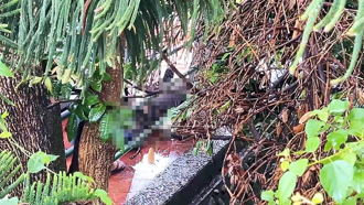 台東鯉魚山龍鳳寶塔命案 驚見男屍檢警追身分查死因