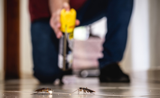 蟑螂大爆發 她崩潰想搬家 內行推1滅蟑神器：整窩死光