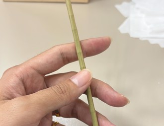 摩斯漢堡吸管變了 他吸一口秒飄「竹香」 全網嗨爆衝門市