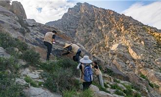 距今約1萬到3000年  陸加強賀蘭山岩畫預防性保護