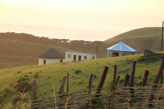 南非部落「奪命成年禮」 39名少年死亡、數十人切除陰莖