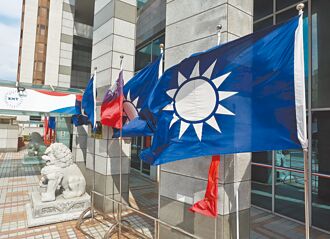 國民黨魁10／18改選 白讚盧善溝通