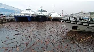 台東豪雨後漂流木入侵富岡漁港 漁民憂船損不敢出港