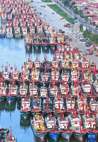 航線停航  停止作業搶險備戰  華東積極應對颱風竹節草影響