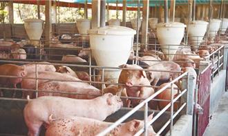 台美關稅20％ 豬、雞進口量恐增加？業者：產地標示是底線