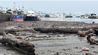台東富岡漁港漂流木堆積 縣府緊急清除 預計1周完成