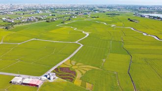 台美關稅難降至15％？學者：農業恐再成讓步焦點