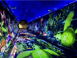 台人國旅年砸5千億創新高 過夜支出破5千、輕旅行占比高