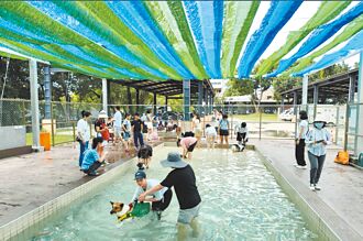 毛孩透心涼 桃園寵物戲水池免費玩