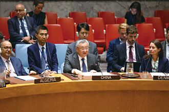 陆挺安理会决议 反对双重标准