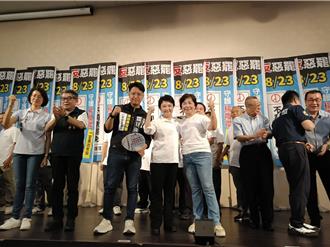 影》楊瓊瓔反罷藍白力挺  盧秀燕讚「好延請」 被罷沒道理