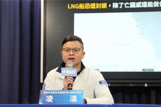 關稅衝擊日韓都有因應措施  凌濤酸賴政府：只會喊大罷免、有料？