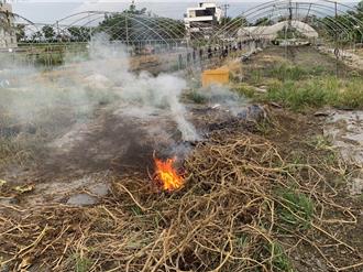 稻草别再烧！宜兰环保局吁翻耕入土 违规露燃将开罚