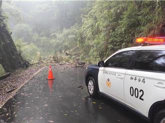 大雪山风景区唯一交通因树倒阻断 和平警交管维护安全