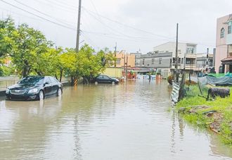 海納百川》盧秀燕搭台階 賴卓可順勢而為（羅元泓）