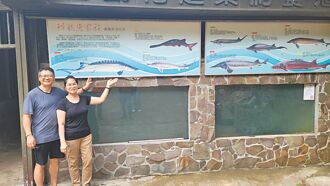 新北 林典夫婦創鱘龍魚山中傳奇