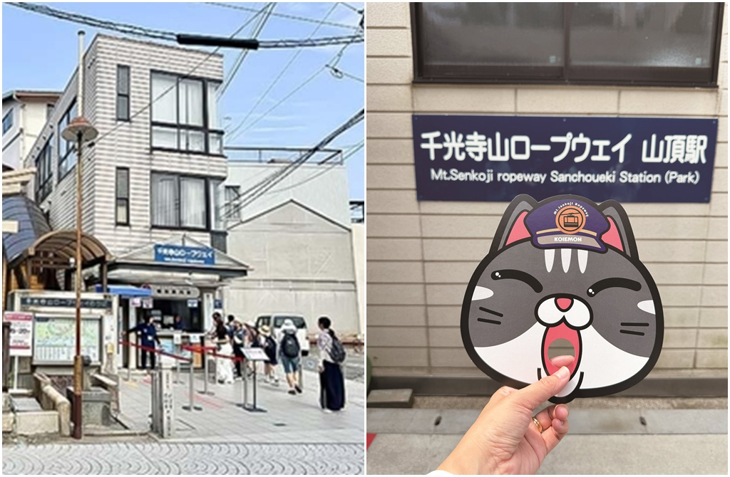 「海運重鎮」尾道有知名的「貓之細道」。(旅報傳媒 提供)