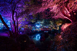 日本佐賀「祐德稻荷神社」秋季夜間夢幻點燈！還能參加傳說狐狸嫁女兒儀式