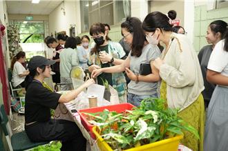 淨化空氣神器！多種「療癒植物」助你穩定情緒