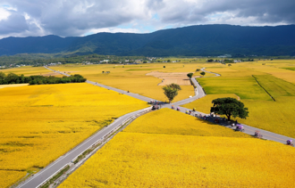 帶2千萬下鄉退休！60歲男「靠泡麵度日」悔爆
