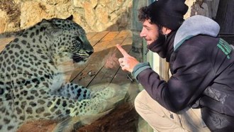 园区导览遭逃脱美洲豹攻击　动物园员工颈部遭狠咬身亡