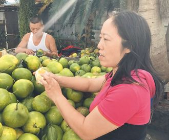 陸配村長遭解職 律師批內政部「曲解法律」 再翻出1條文