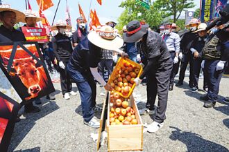 韓國蘋果農剉咧等