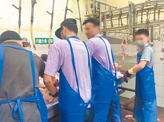 僑生成學工 2成沒念完退學