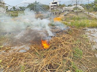 稻草別再燒 宜蘭推友善農作