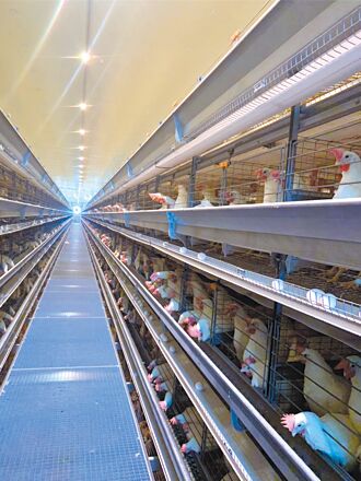 風災後蛋蛋的憂傷