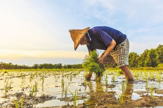 農保法三讀 明年起政府補助保費比率上限升至75％