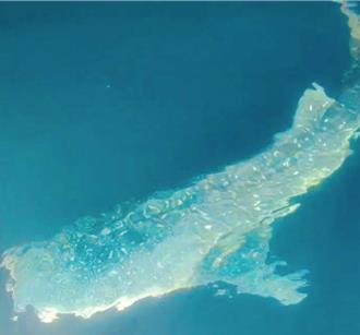 澎湖小管銳減！漁民捕撈遇鯨鯊攪局 嘆不如改行賞鯨