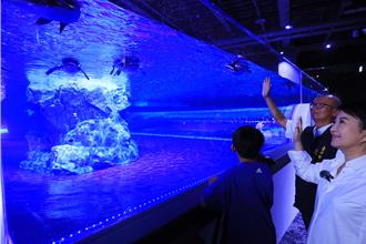 台中海洋館首度開箱 府會大家長撩落去踏浪花