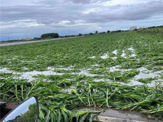 728豪雨災情更新！全台5死3失蹤101傷 農損破3億