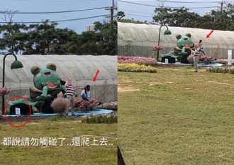 桃園蓮花季驚見「文盲女」 為拍美照攀爬裝置藝術