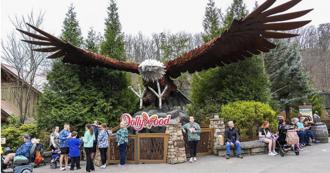 國際旅遊網站評選全美最強遊樂園　「這家遊樂園」擊敗迪士尼與環球影城奪冠！