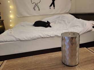 太陽穴、耳後抹精油 一夜好眠