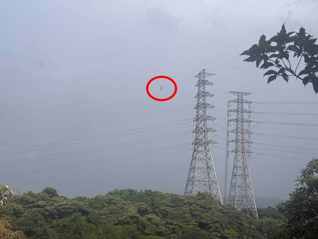 男子被發現吊掛在高空電纜上，死因相當離奇。（翻攝畫面）