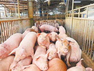 關稅談判恐放寬美牛、萊豬標準？消基會：知情權不能被犧牲