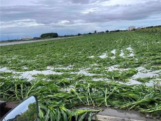 高雄災損突破1.9億元 第2波現金救助8／6起受理申報