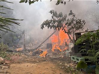 林口墓地工寮火警惊现焦尸   老翁身亡起火原因待查