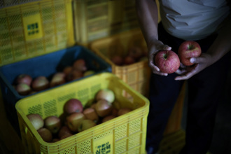 南韓設美國農產品專責窗口 農民剉！ 專家：小心川普食言