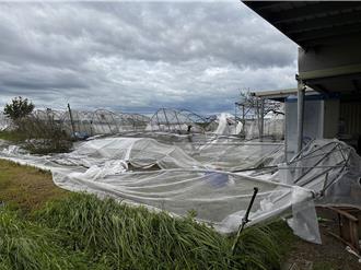 庇護工場受丹娜絲颱風重創 勞動部祭補助最高100萬