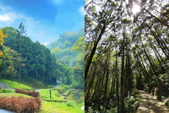 東勢林場遊樂區推父親節活動 車牌對中8可享優惠入園
