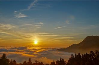 風災豪雨接連攪局！阿里山園區掉1.5萬人次 觀光業苦盼回溫
