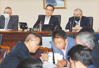 藍促速提政院版本 綠憂三輸